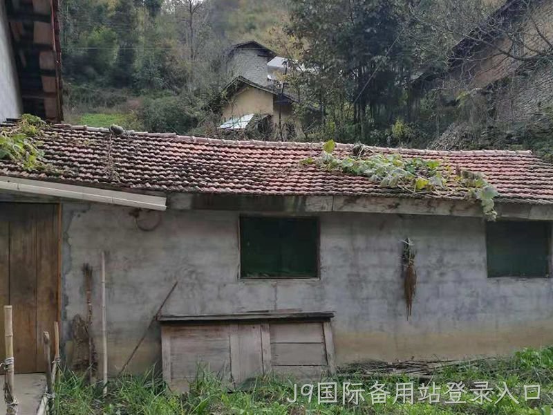 用良好的经营业绩与社会责任感回馈社会！